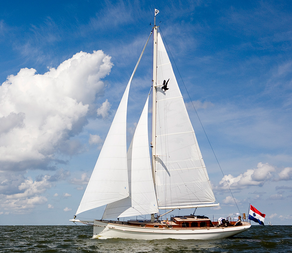 يخت شراعي Puffin 41 Modern Classic 2008 Stoute Hendrik